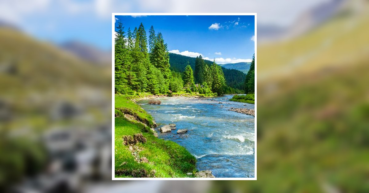 Paul Strickland Fayette, AL Obituary