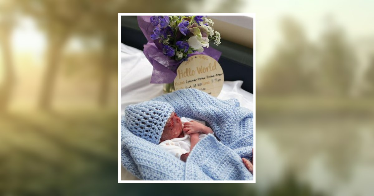 Lysander Markus DimidukKreger Obituary 2024 Barnes Funeral Homes