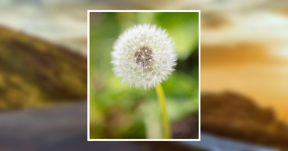 Dorothy Mae Renegar Jonesville, NC Obituary