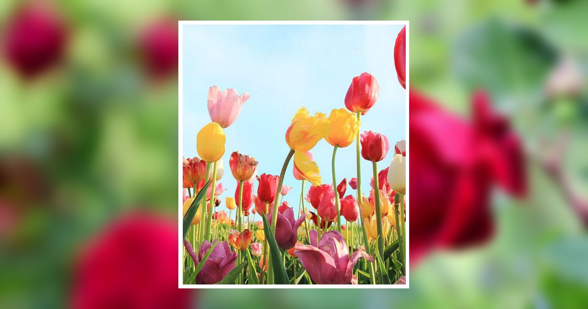 Judith Evelyn Clary Obituary, Graham, NC