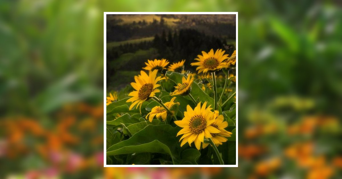 Portrait of Linda Wright Coleman