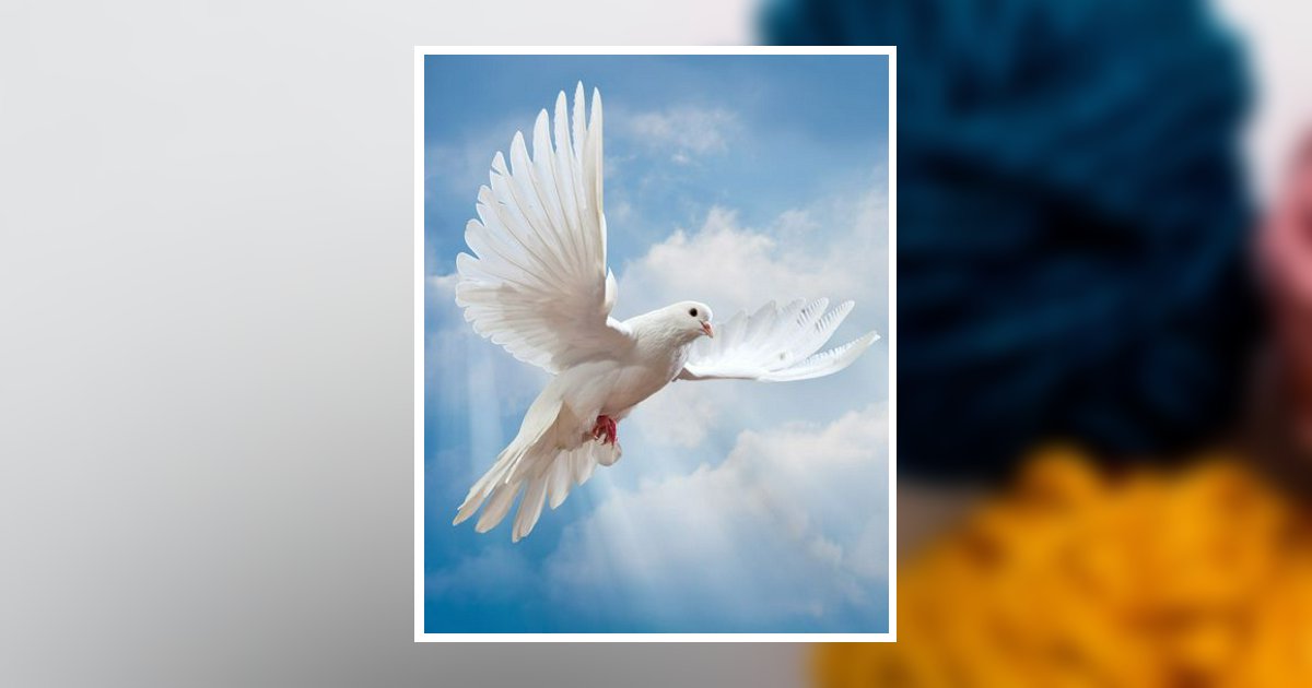 Eva J. Mccartney Obituary, Findlay, OH