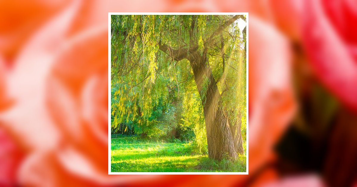 Edith Eli Bergmann Obituary, Springville, UT