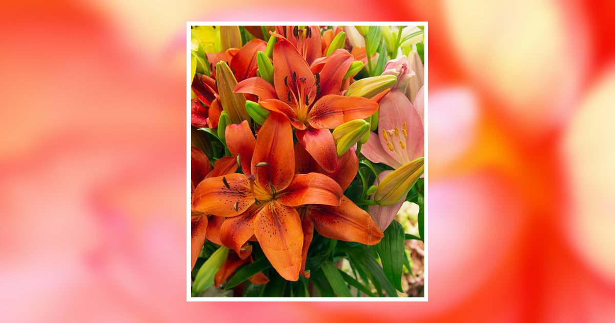 Catheryn A. Davis Obituary, Kerrville, TX