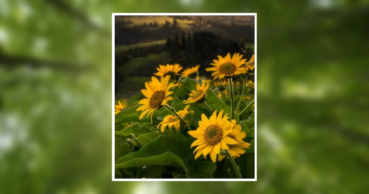 Aubrey Nathaniel Phillips Obituary, Thomasville, GA