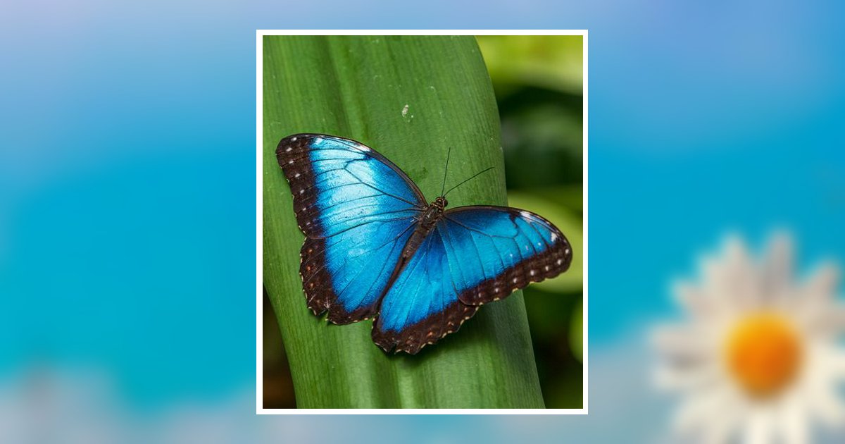 Alexis K. Pickett Obituary, Waterford, WI