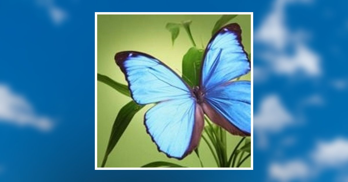 Richard P. Tronzo Obituary, White Oak, PA