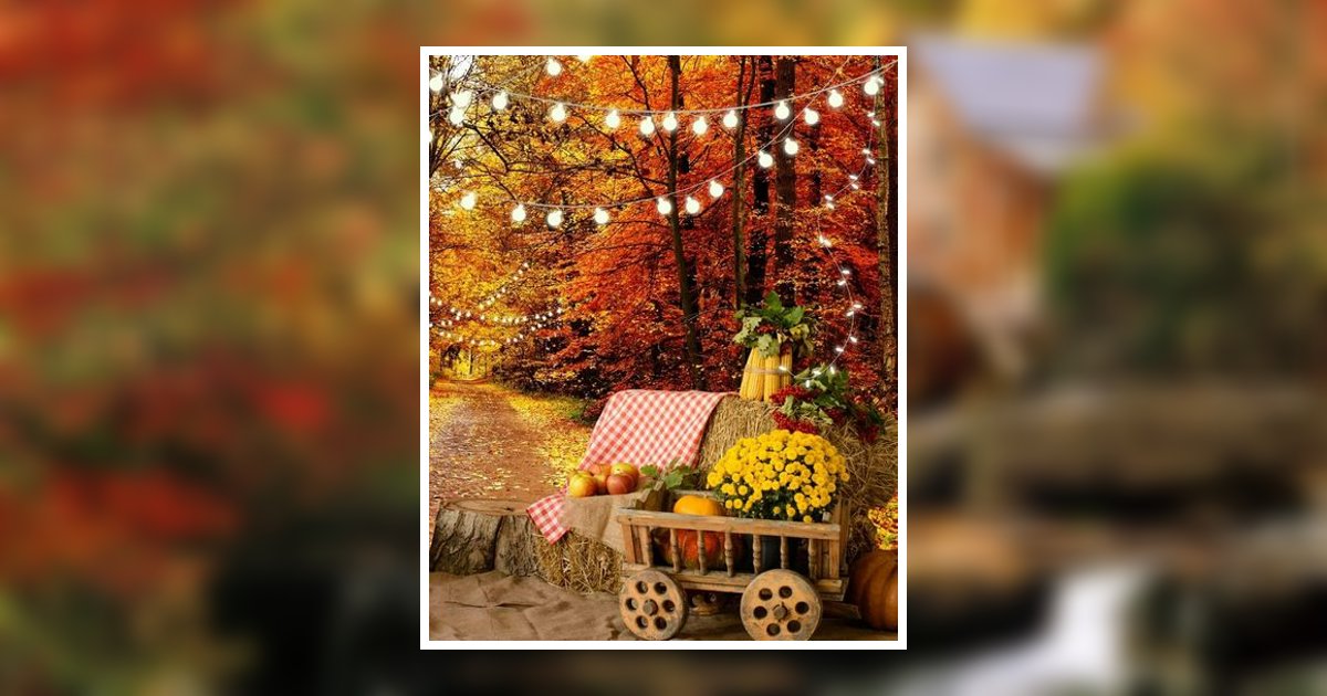 Jacqueline S. Lauer Obituary, Vienna, WV