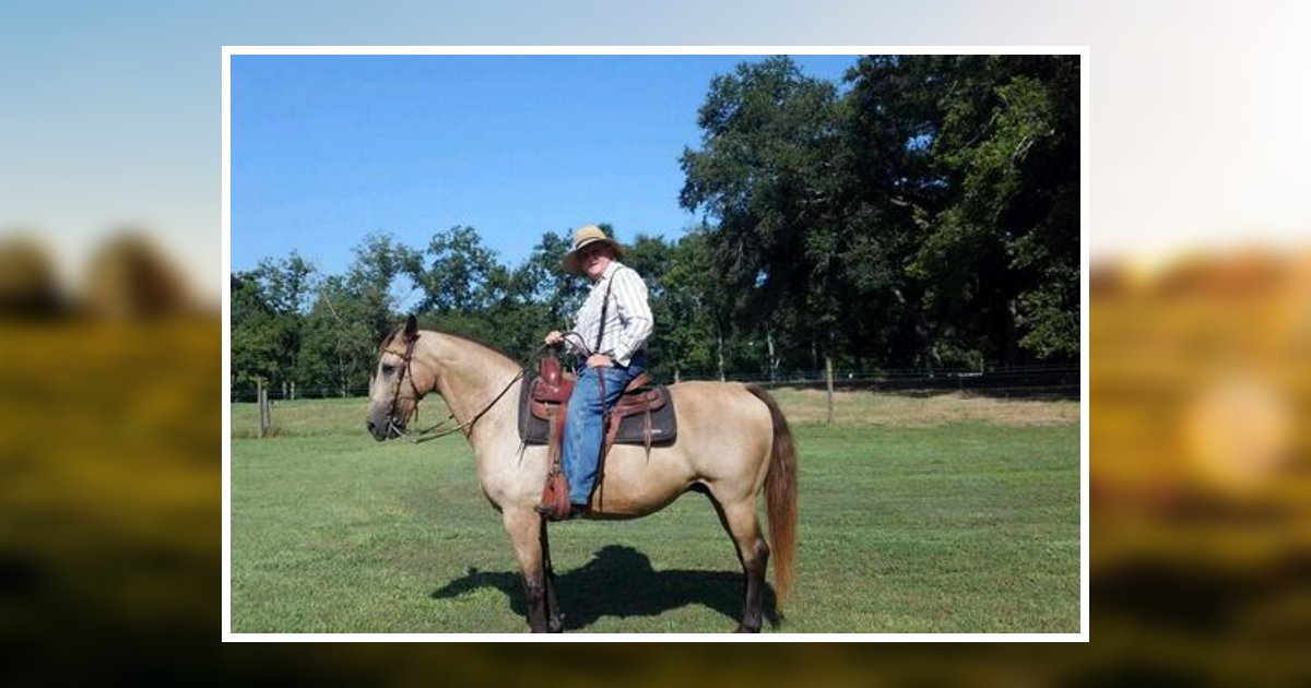 Ray Johnson Obituary 2022 Faith Funeral Home