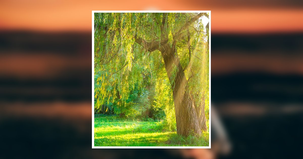 Cynthia Rice Obituary, Belton, TX