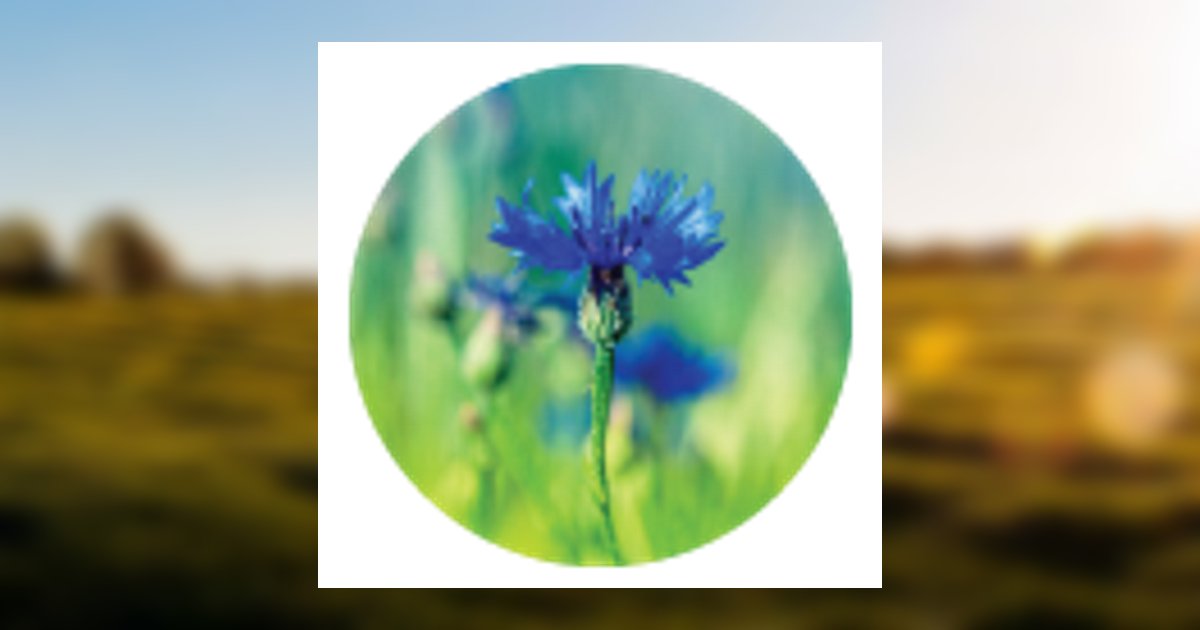 Sandra Chang Obituary, Coudersport, PA