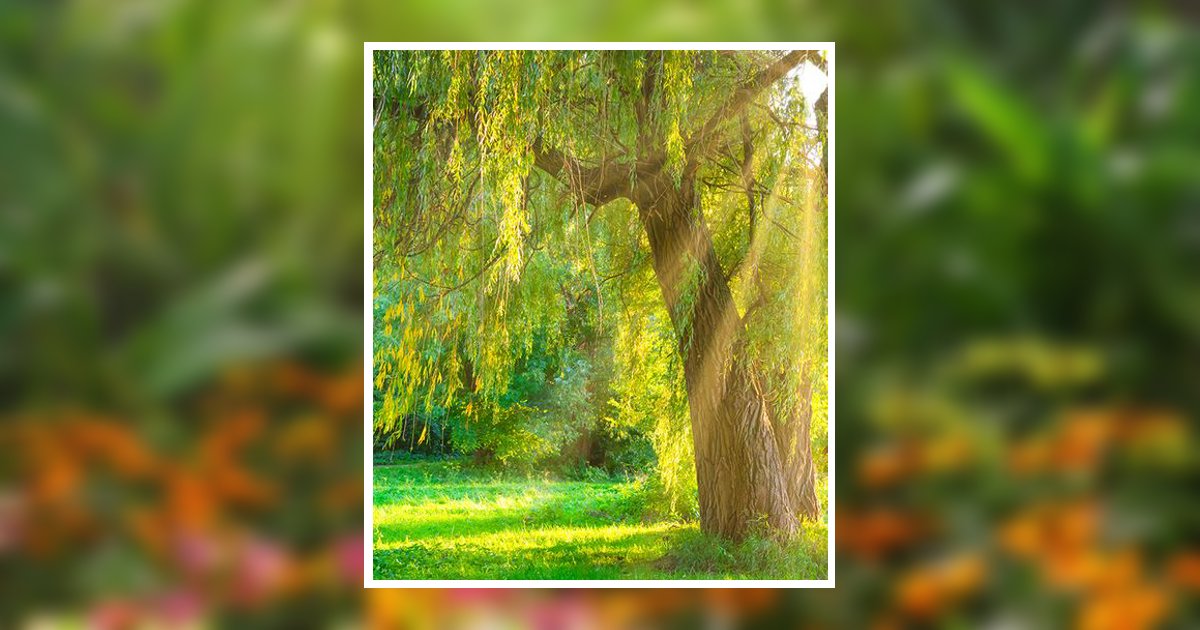 Sandra Sue Allen Byron, IL Obituary