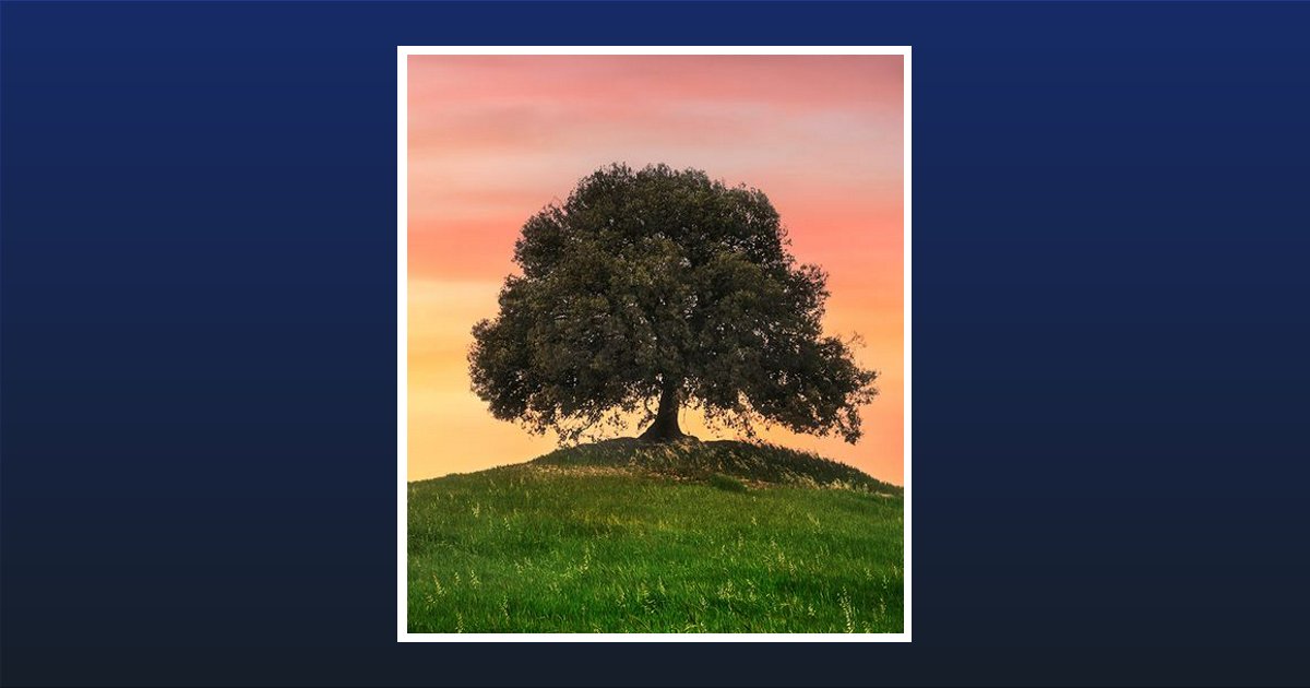 Buster Eugene "Buddy" Mcgough Obituary, Elberton, GA