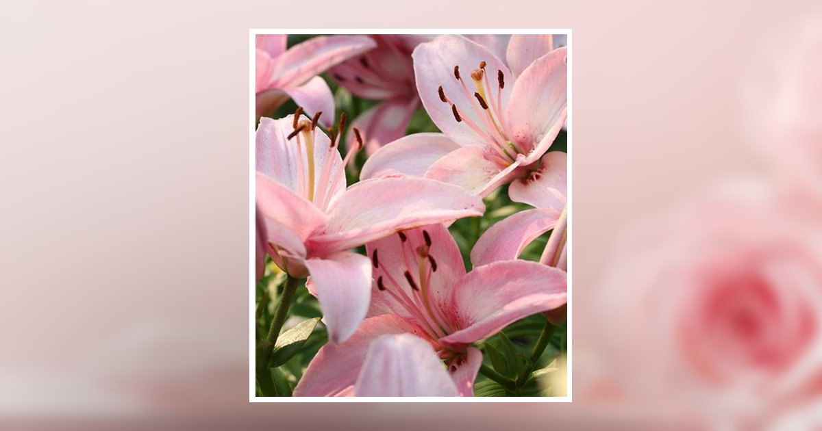 Annette Smith Levittown, PA Obituary