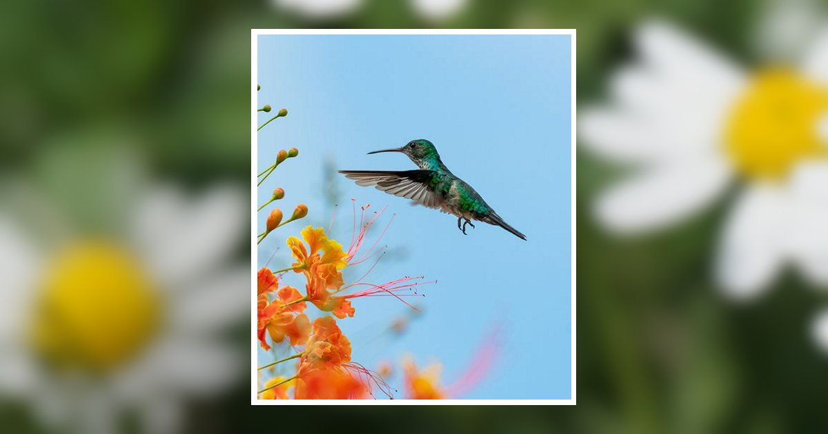 Cheryl Lynn Robley Obituary, Gulfport, MS