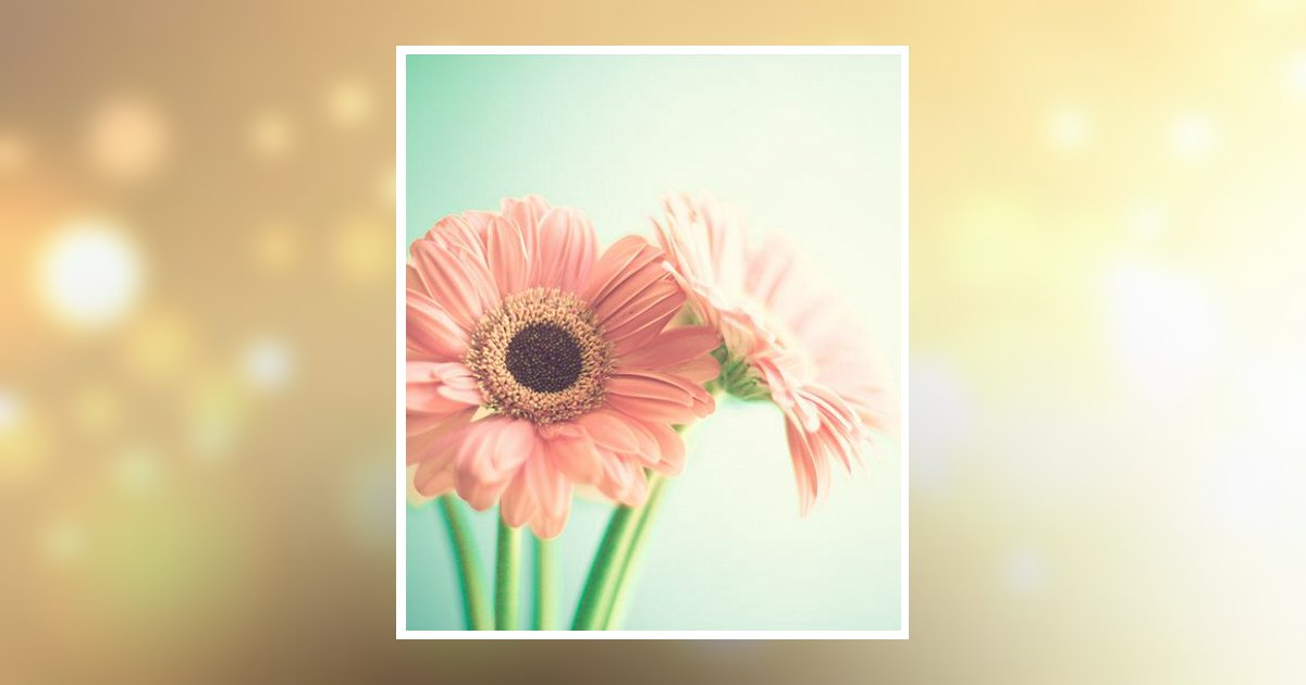 Charlene Ruth Jones Obituary, Park Rapids, MN
