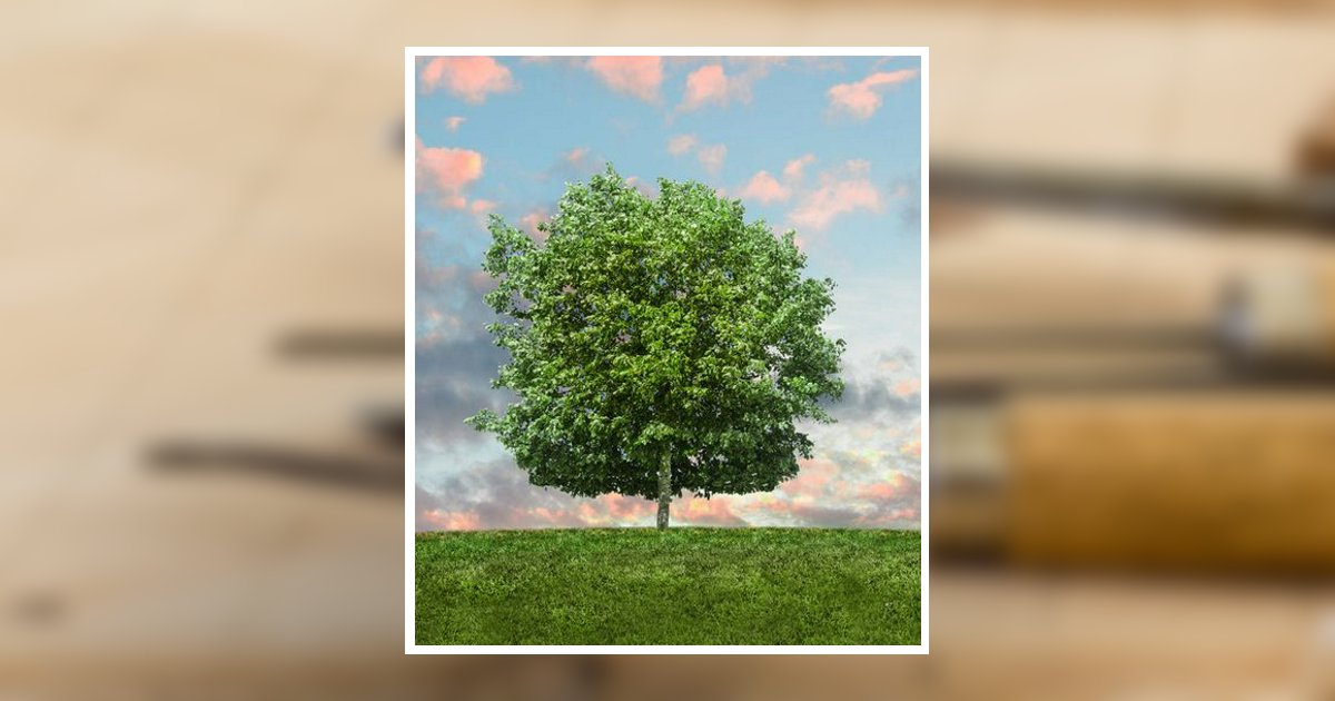 Franklin J. Benlein Obituary 2024 Herman Funeral Homes & Crematory