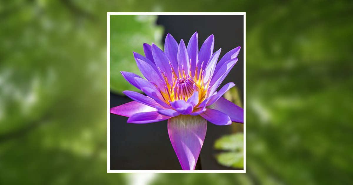 Portrait of Shelly Kay Fancera