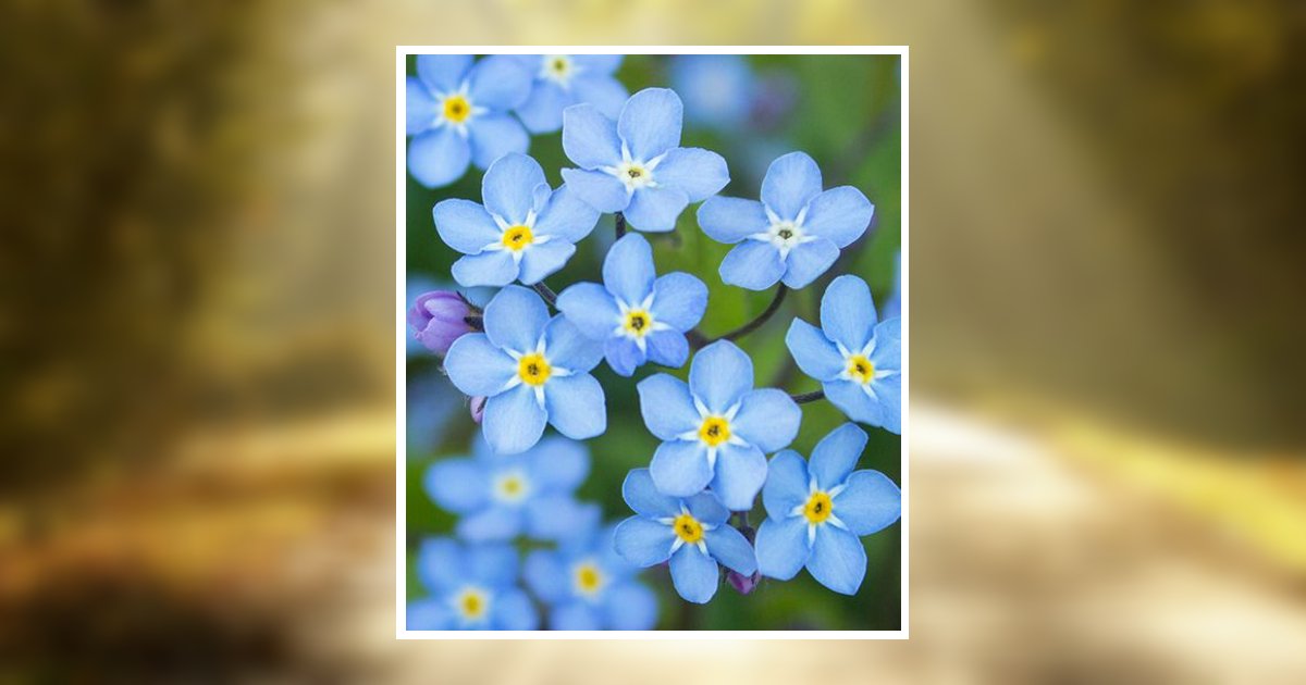 Marilyn Ann Fogle Obituary, Findlay, OH