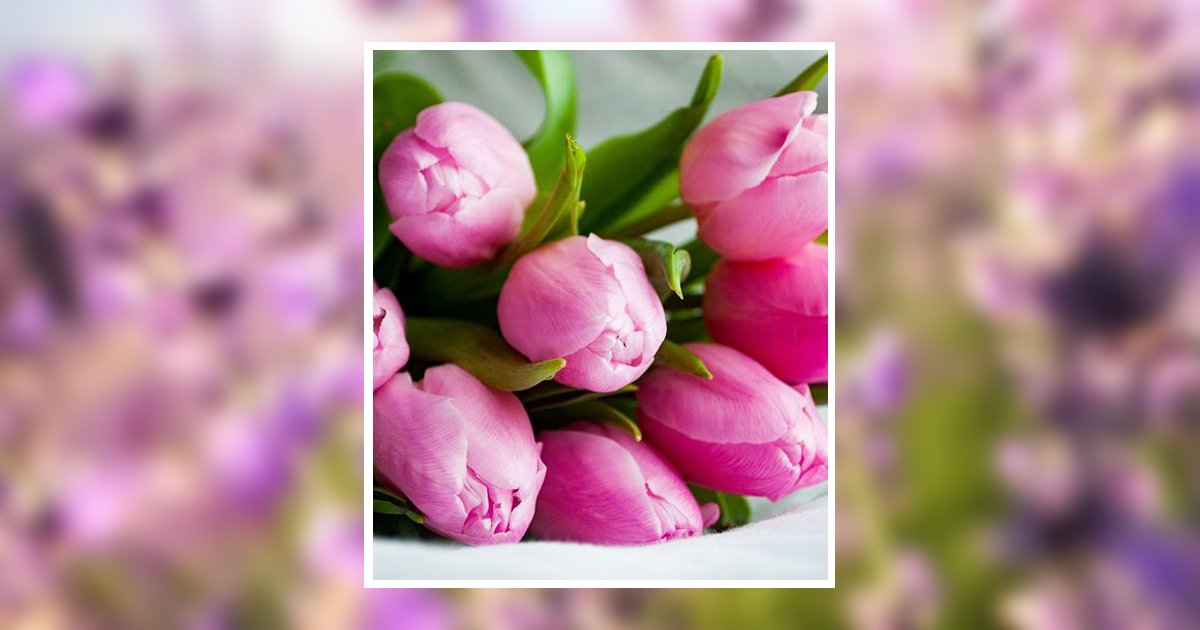 Dora Ann Love Obituary, Bowling Green, KY