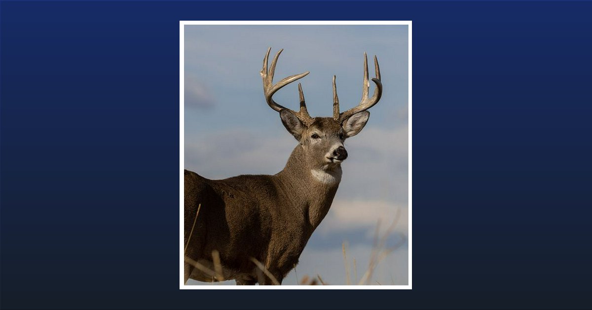 Allen Paul Faulstick Obituary, Coudersport, PA