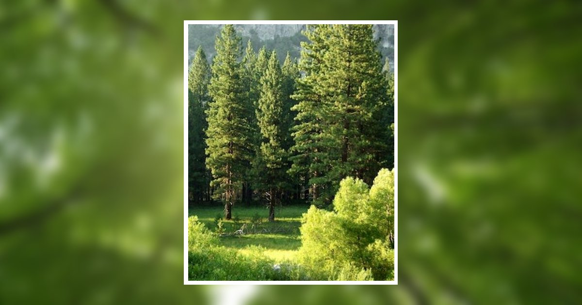 Edward Gavenas Shenandoah, PA Obituary