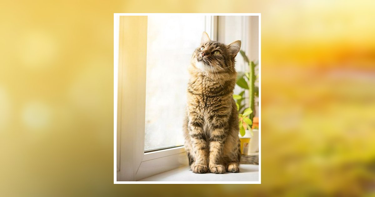 Waneta Mae Boutin Tew Siler City, NC Obituary