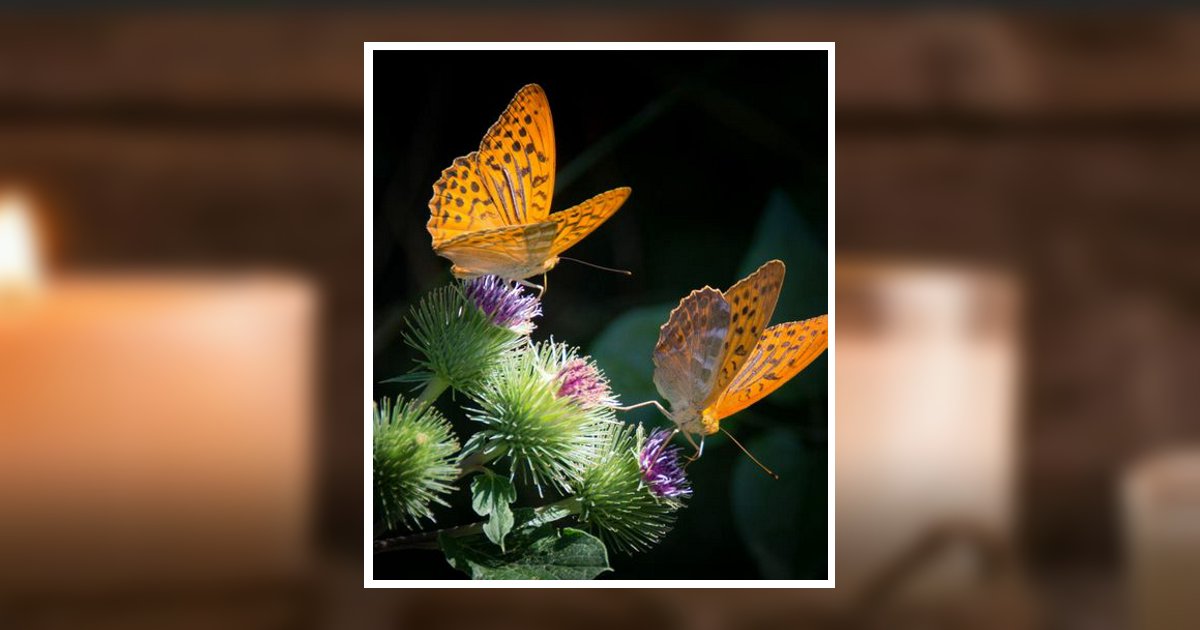 Janice Weeks Obituary 2024 Oliver Funeral Home of Eupora