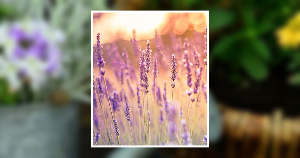 Esther Mae Shelton Lake Wales, FL Obituary