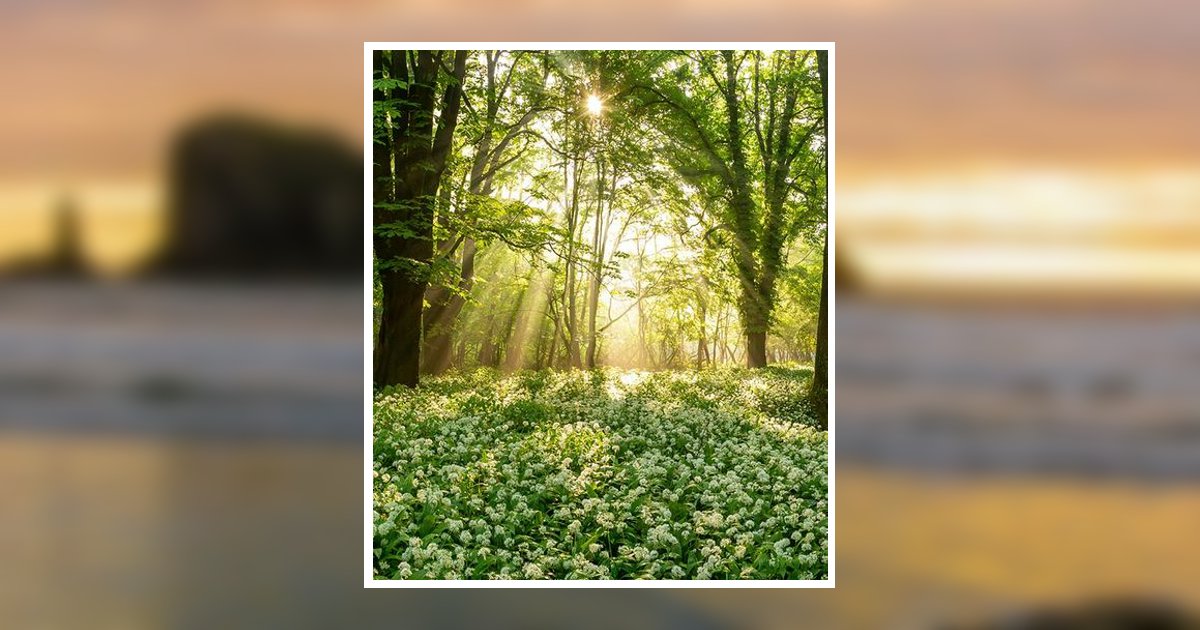 Michael James Brown Obituary, New Port Richey, FL