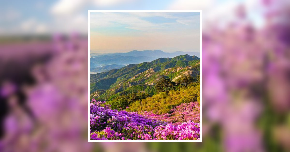 Picture Teresa Darlene Solomon White Pine, TN Obituary