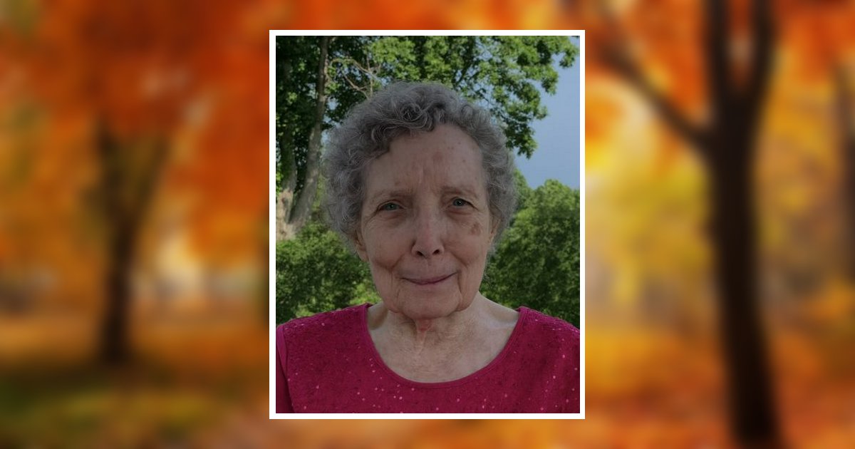 Irene Saloma Theis Obituary, Hastings, MN