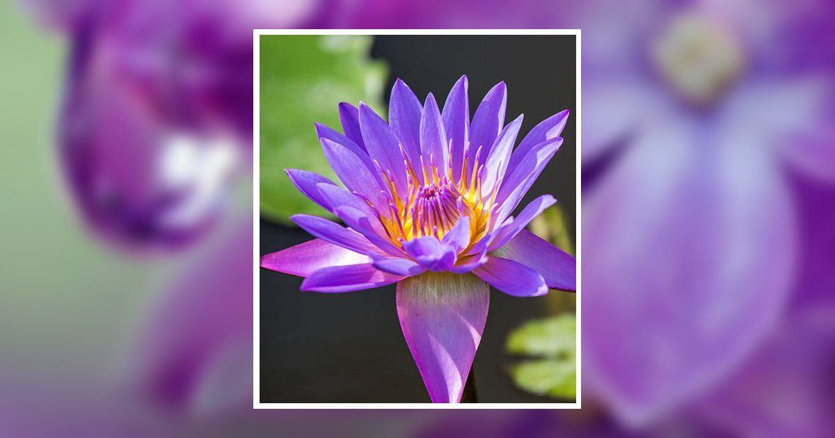 Mary C. Mcnichols Obituary, Columbus, OH