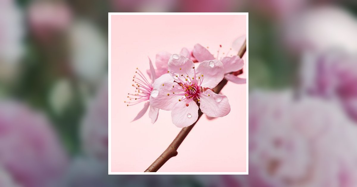 Judith Hope Smith Wiggins Obituary, Elberton, GA