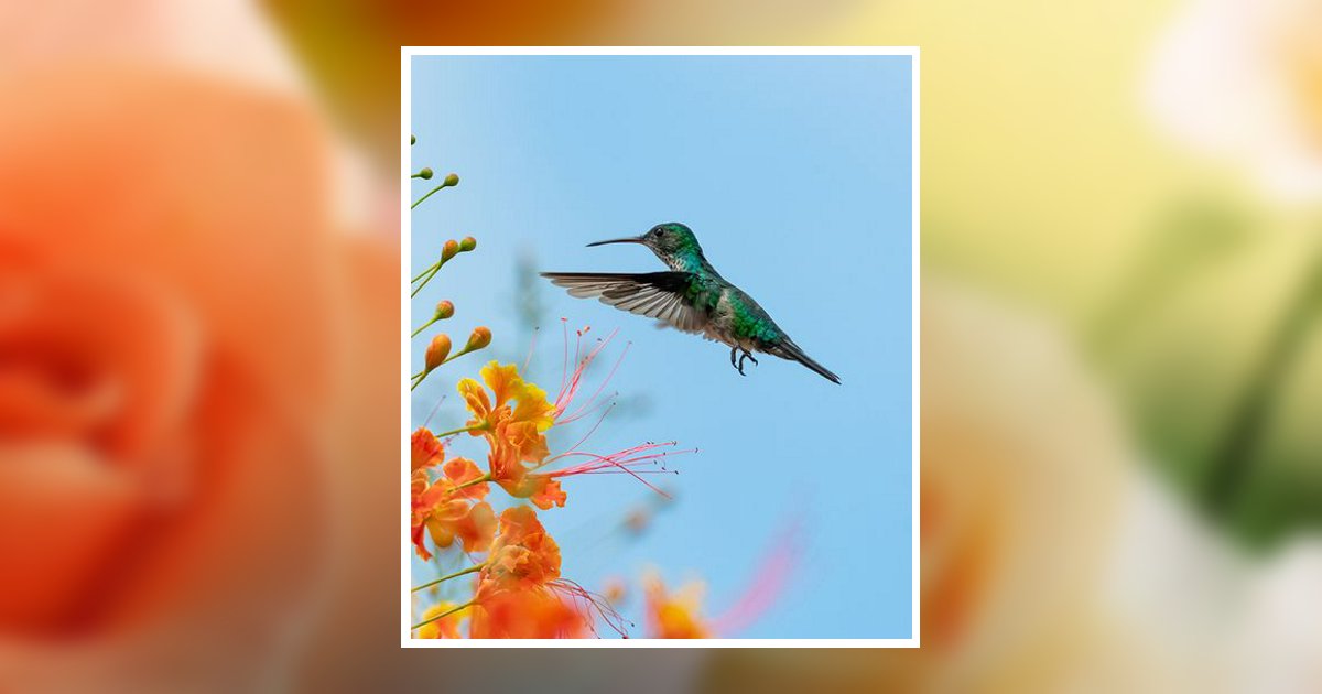 Sylvia Simmons Obituary, Aberdeen, MS