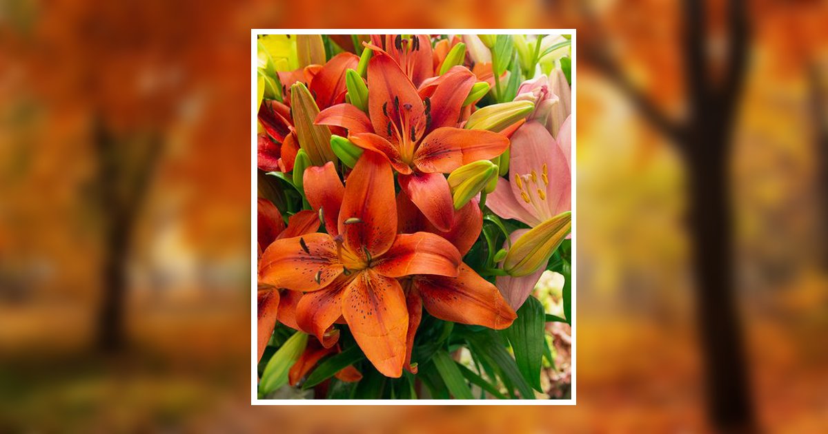 Betty Boaz Fulp Obituary, Winston Salem, NC