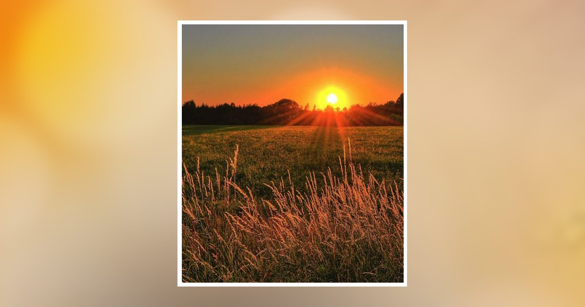 Judith Ann Wilkins Obituary, Albion, NY