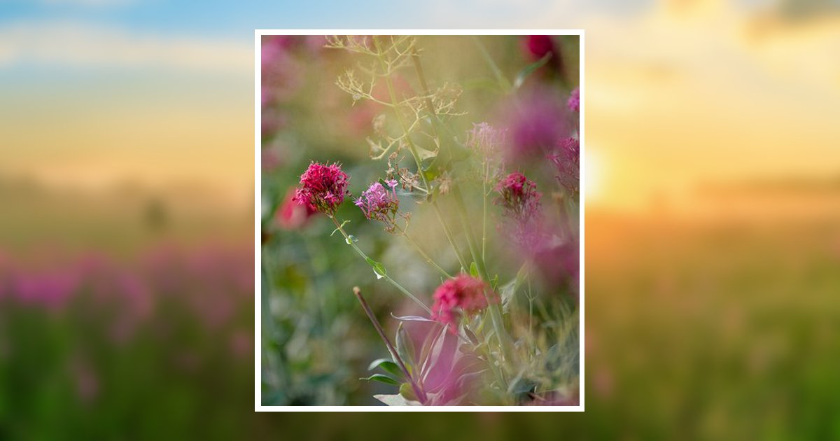 Cynthia Jo Schafhirt Obituary, Vancleave, MS