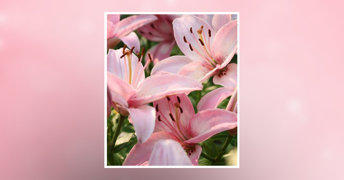 Jane Marie Ely Obituary, Bowling Green, KY