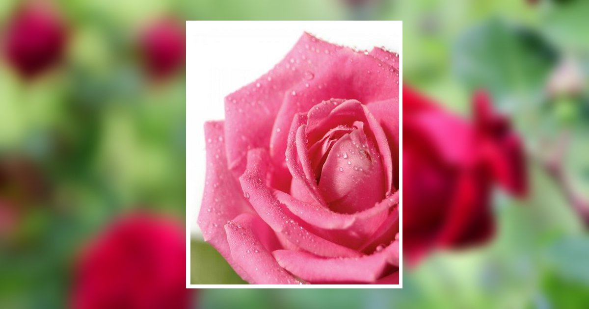 Picture Sophie Pieri