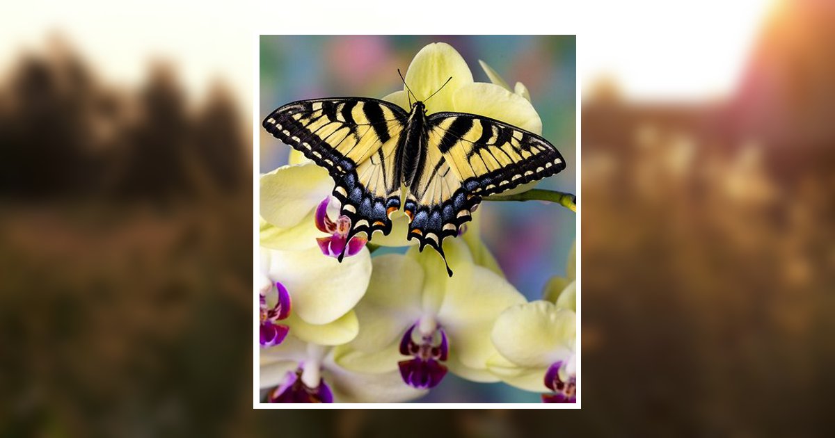 Picture Bessie Smith Ripley, WV Obituary