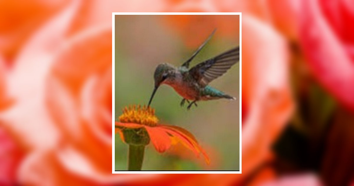 Ruth Palmer Ward Obituary, Cleburne, TX