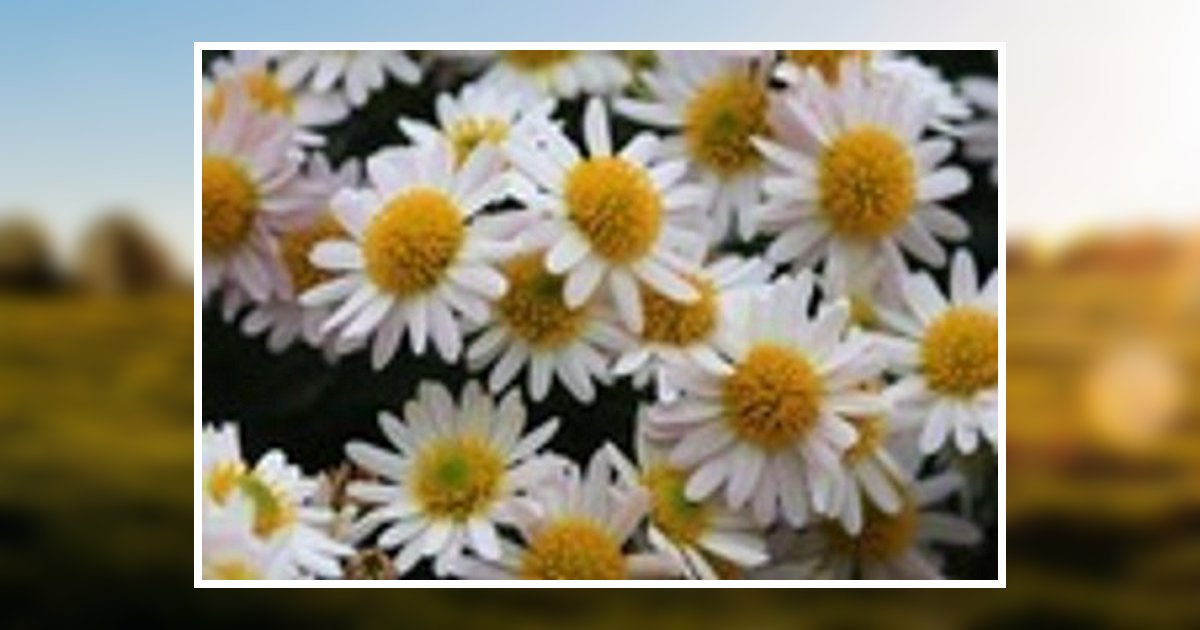 Carol Turbeville Obituary 2017 Low Country Cremation & Burial The Glennville Funeral Home