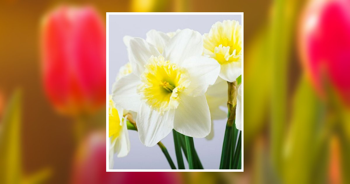Barbara L. Buttler Obituary, Shamokin, PA