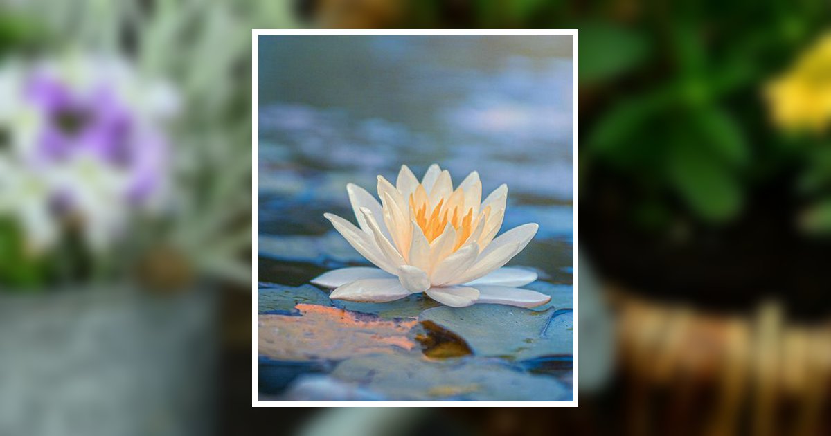 Bernardine M. "Bunny" Mercier Obituary, Milford, NH