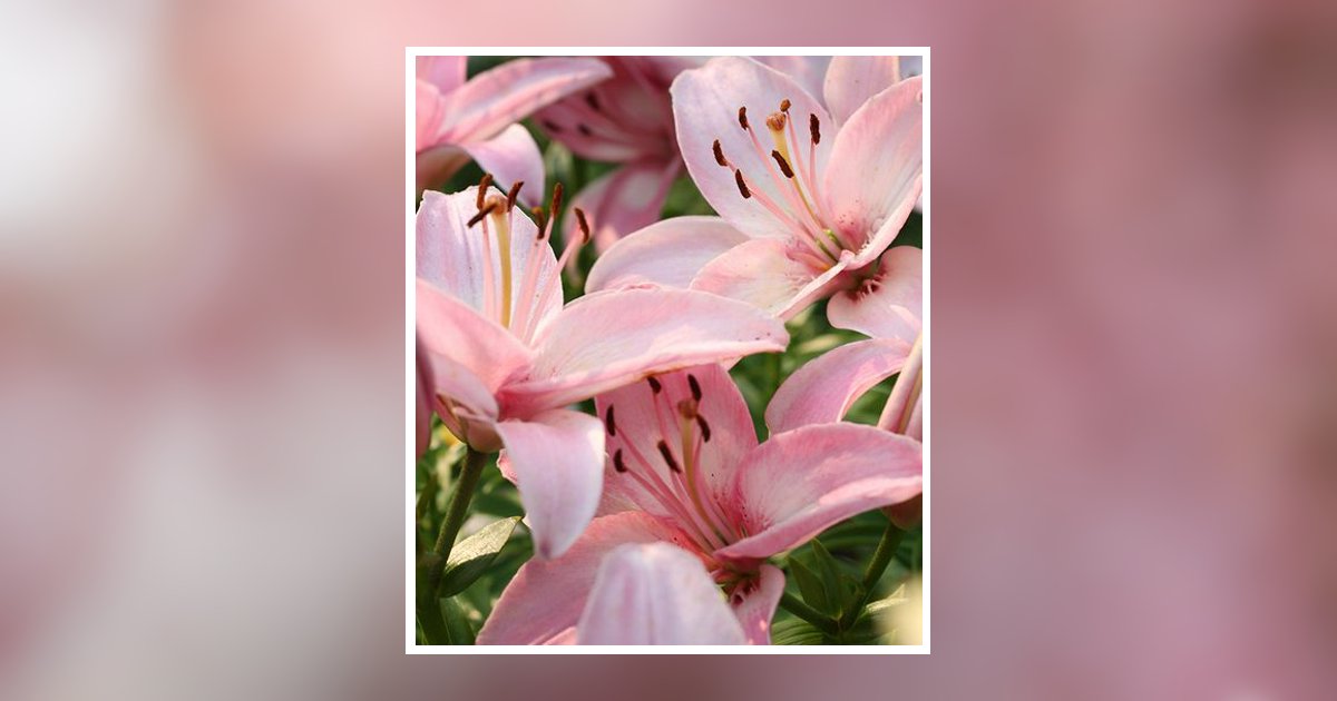 Florence M. Miller Obituary, Levittown, PA