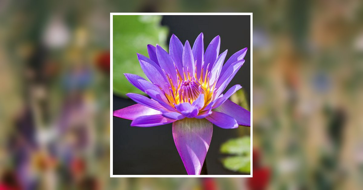 Kristin Ann Yelinek Obituary, Stoughton, WI