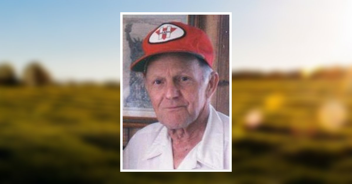 Hugo Morisset Obituary 2012 Mattson Funeral Home & Cremation Service