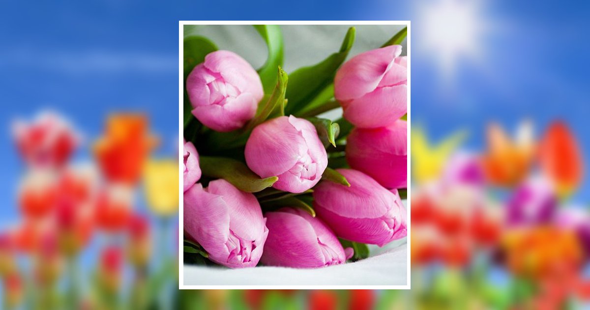 Darolyn Barbee Obituary, Bowling Green, KY