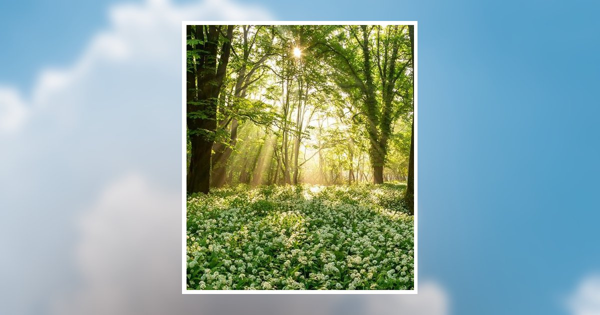 Donald C. Monroe Obituary, Shinglehouse, PA